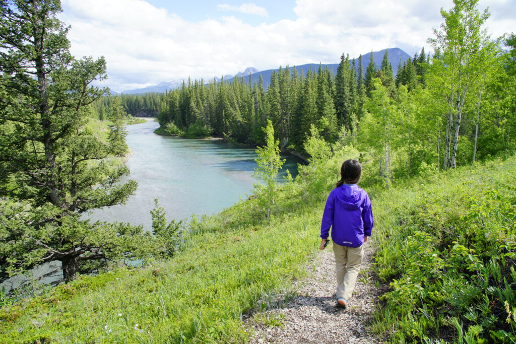 Flowing Water Trail, Bow Valley Provincial Park