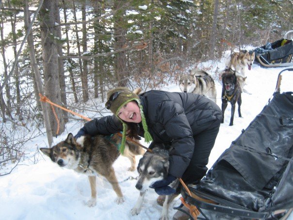 Meeting Snowy Owl's friendly sled dogs