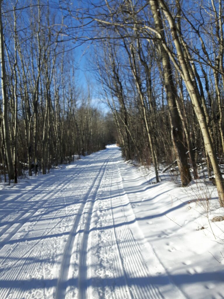 Canadian Birkie Course - Cooking Lake Provincial Park