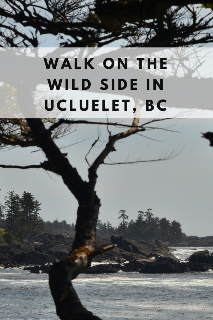 Things to do in Ucluelet pinterest pin