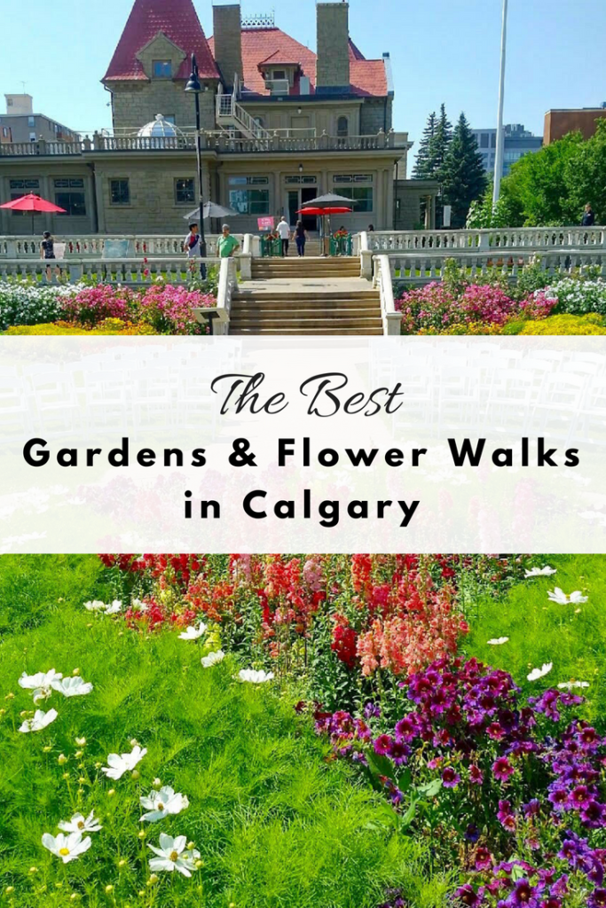calgarys-best-flower-walks-and-gardens