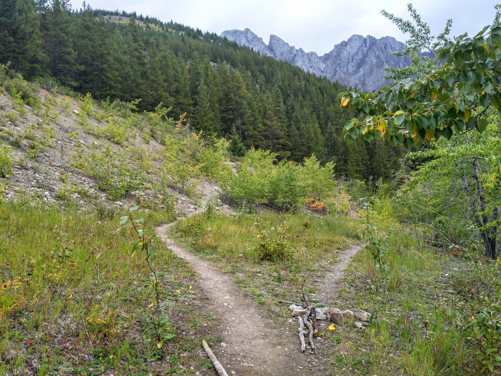 King Creek Ridge Trail