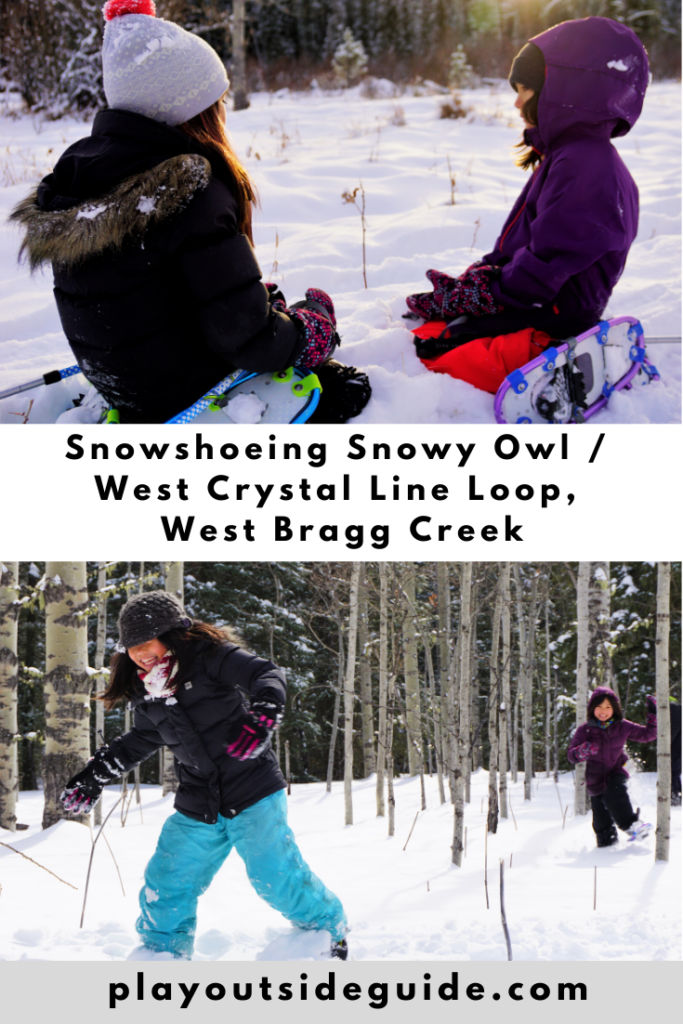 snowshoeing snowy owl west crystal line loop, west bragg creek