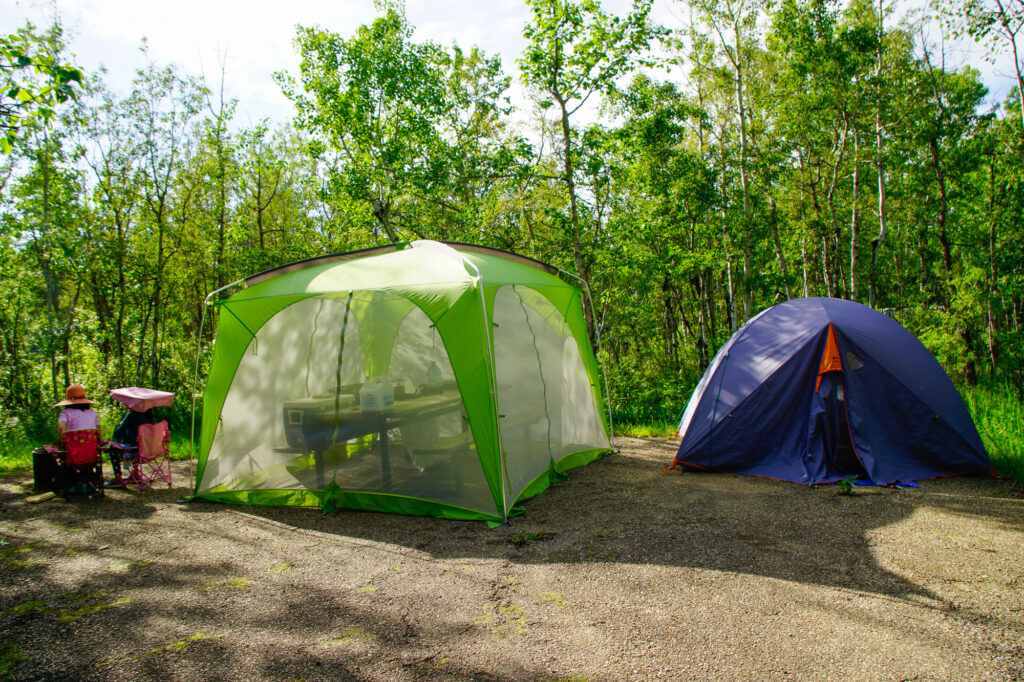 Miquelon Lake Provincial Park Campsite