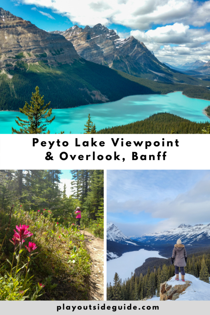 Peyto Lake Viewpoint and Overlook pinterest pin