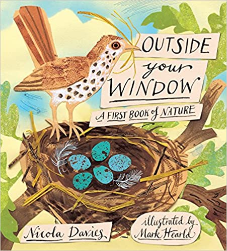 outside your window a first book of nature