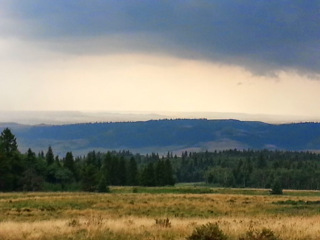 Head of the Mountain Viewpoint, Cypress Hills Provincial Park