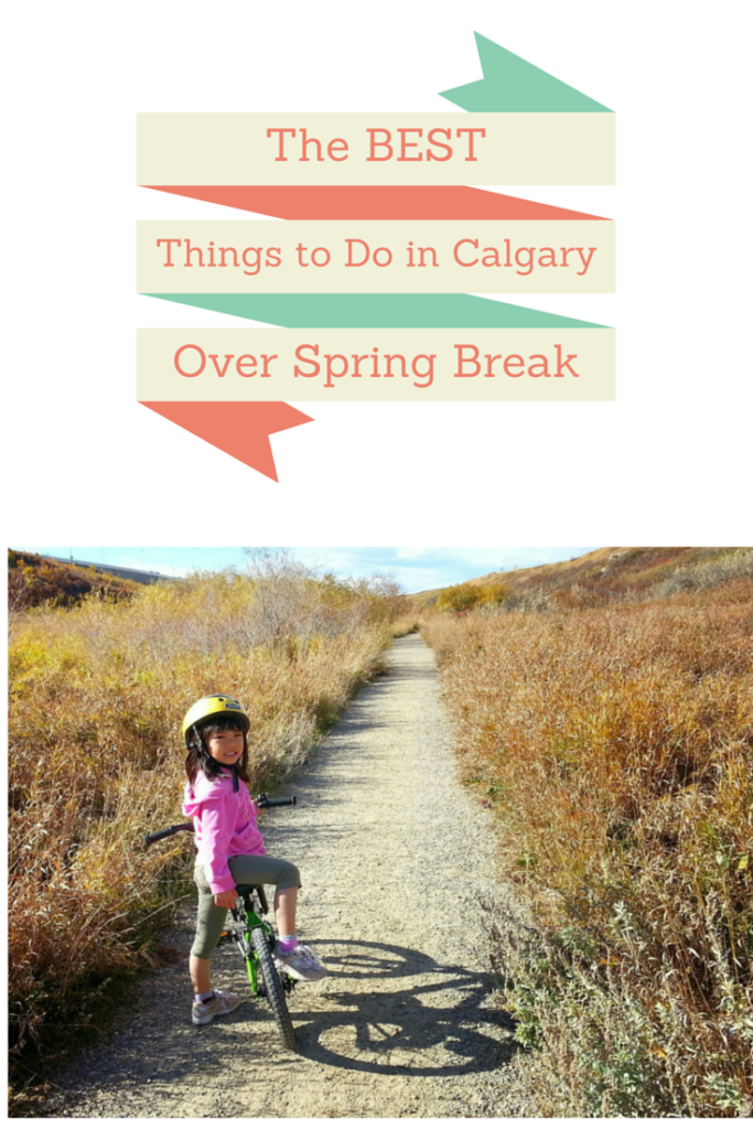 the-best-things-to-do-in-calgary-over-spring-break
