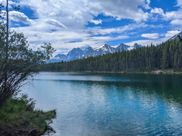 The Best Stops on the Icefields Parkway - Play Outside Guide
