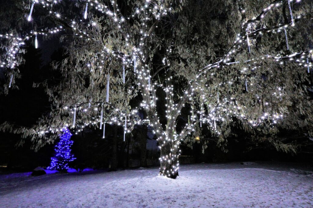 nikka-yuko-winter-lights-festival-lethbridge-love-tree