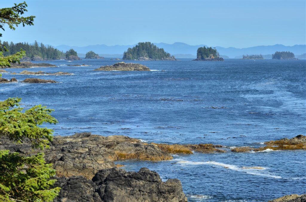 wild-pacific-trail-ucluelet286429