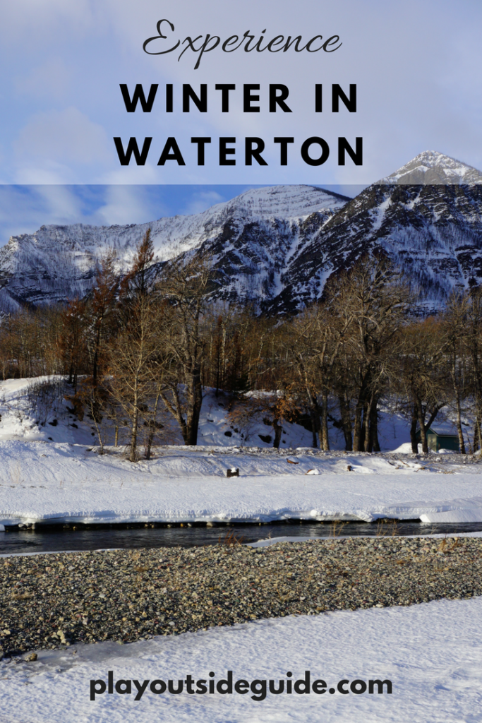 experience-winter-in-waterton