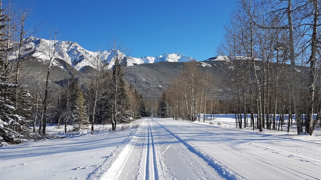 bill-milne-cross-country-ski-trail.jpg