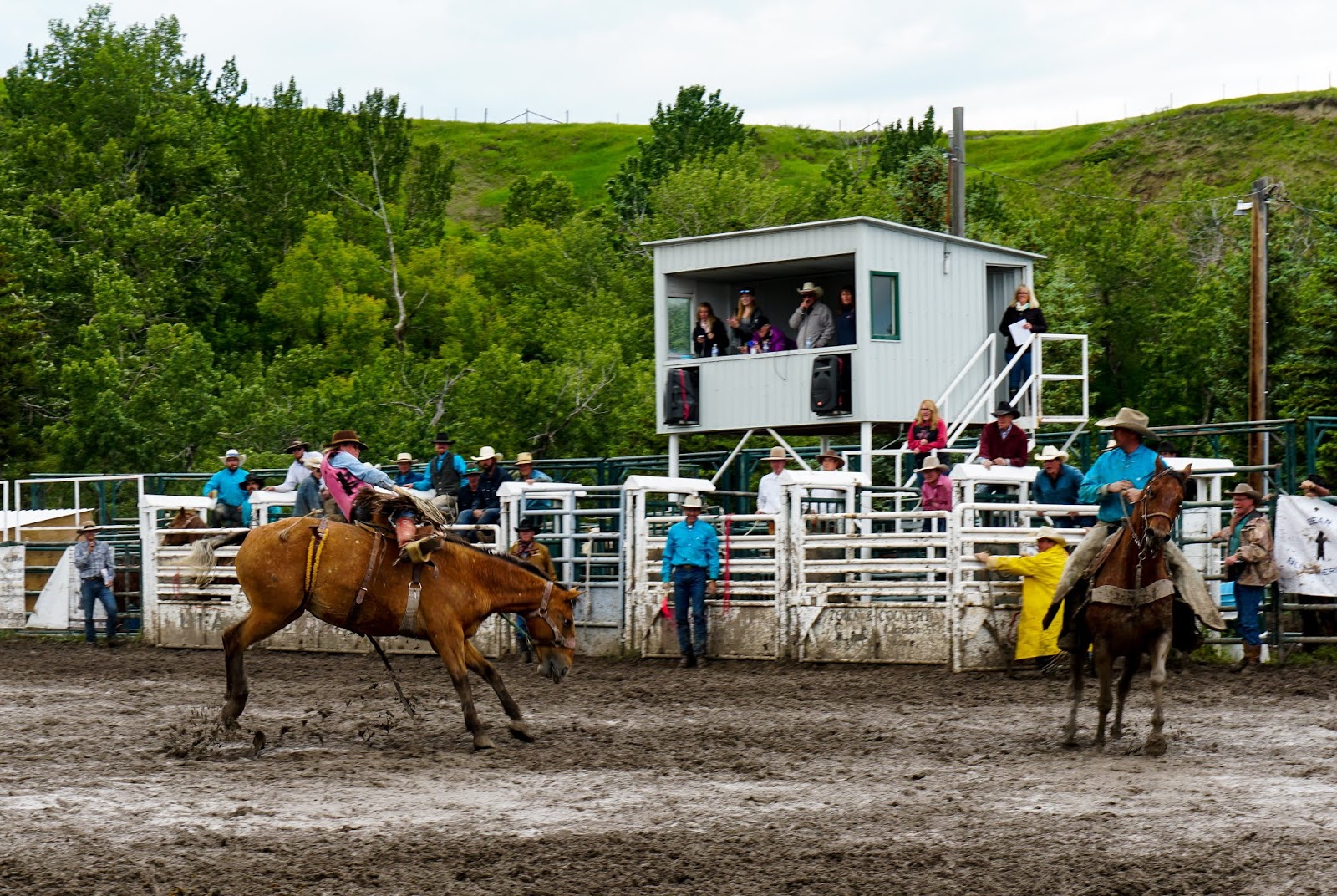 Pincher Creek Cowboy Show
