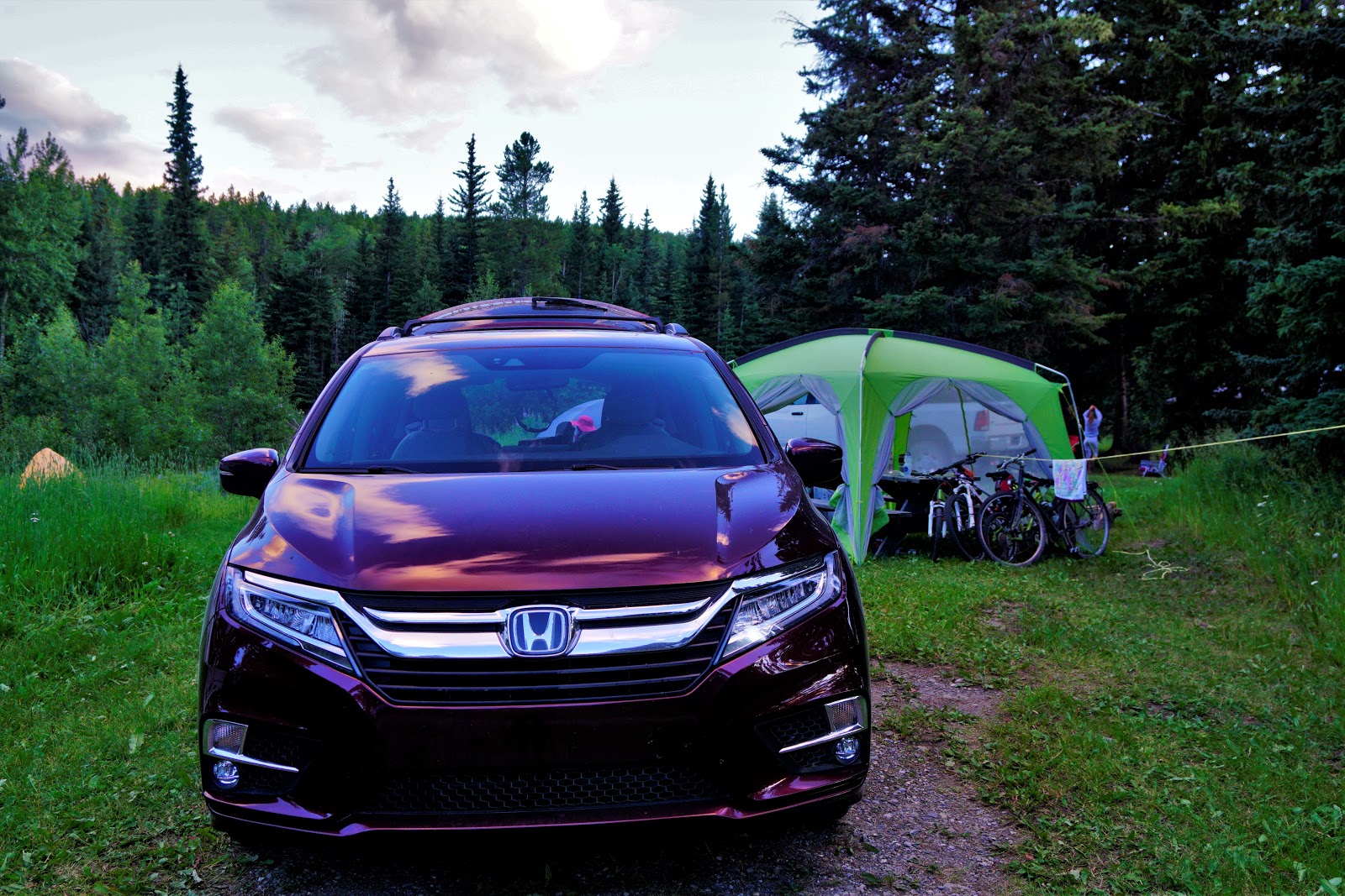 Our campsite at Indian Graves Campground