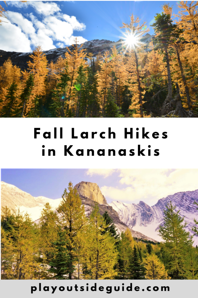 fantastic-fall-larch-hikes-in-kananaskis.png