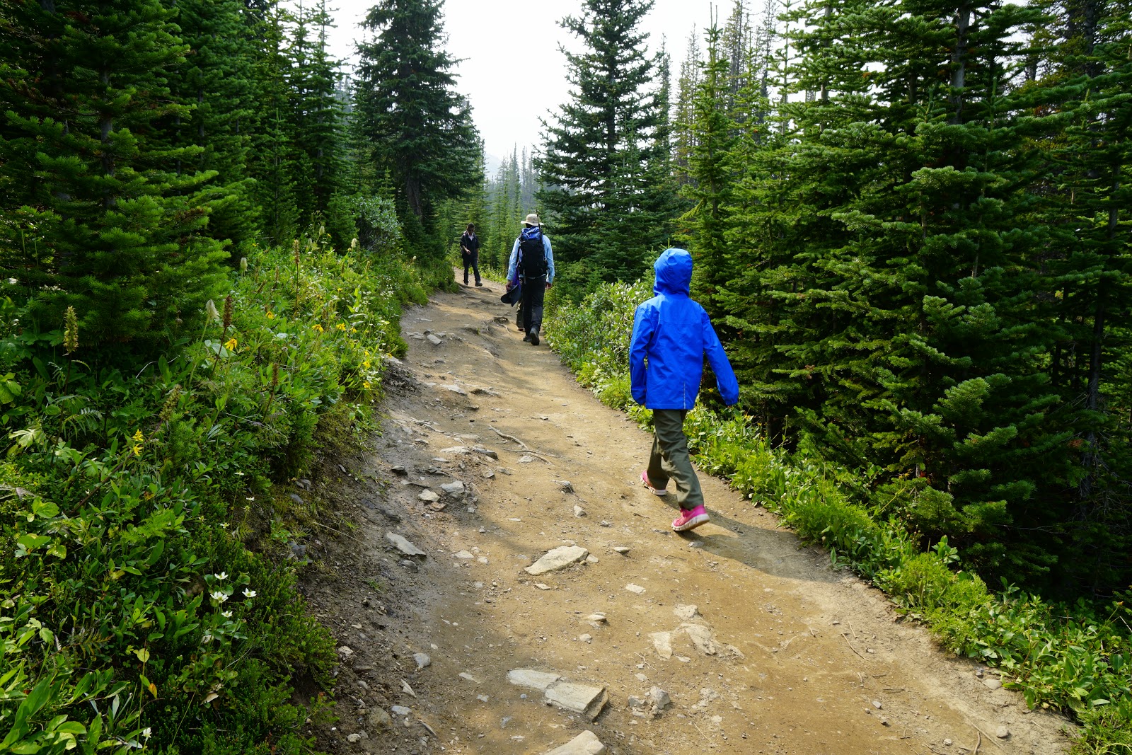 Parker Ridge Trail, Banff