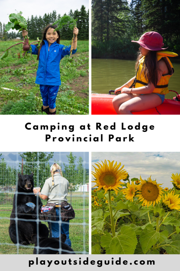 camping-at-red-lodge-provincial-park.png