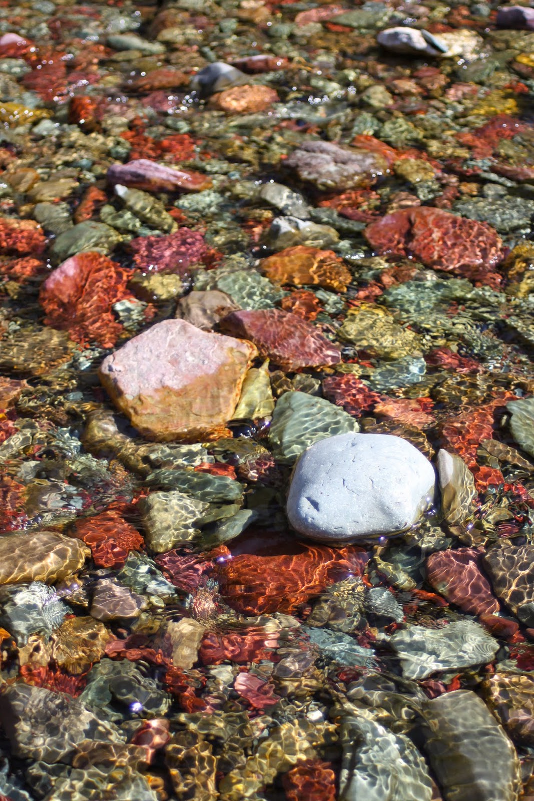 Colorful stones in Two Medicine Creek, Montana