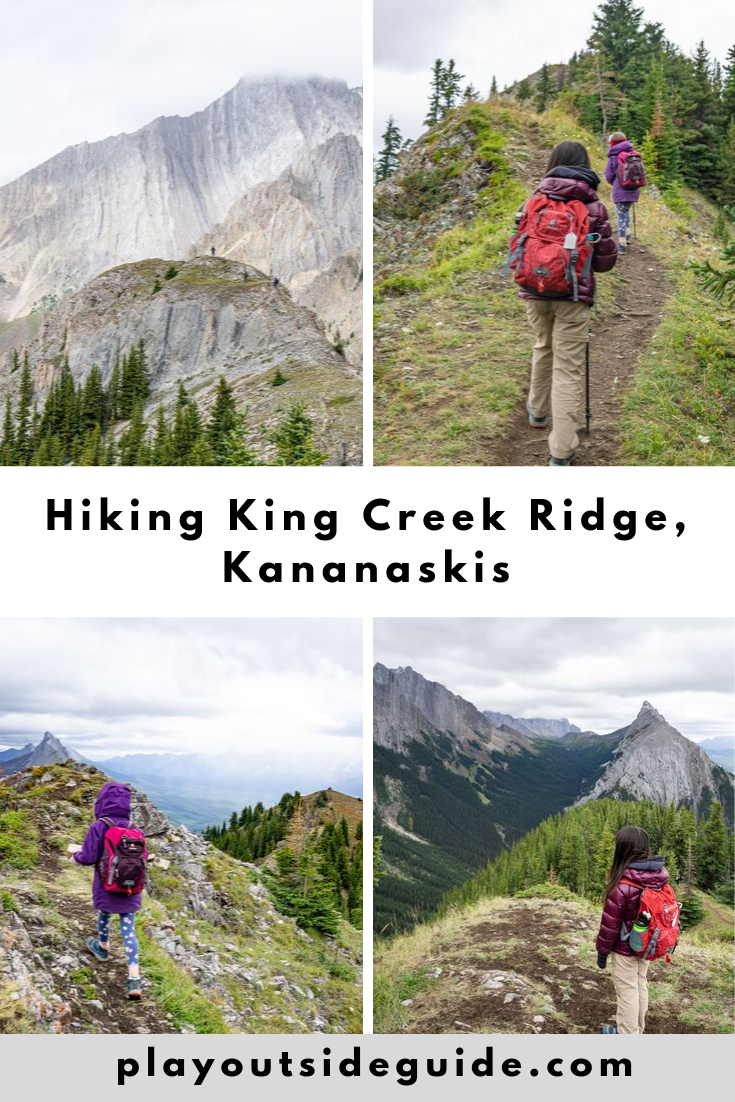 hiking king creek ridge kananaskis pinterest pin