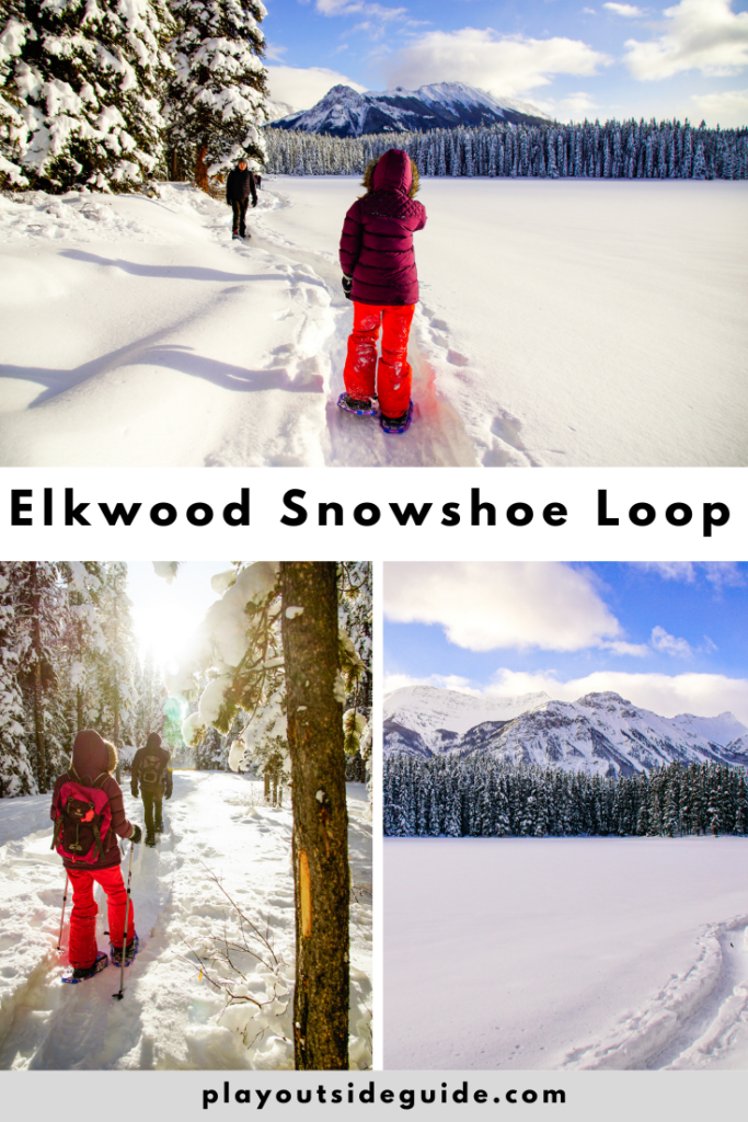 elkwood-loop-snowshoe-trail-kananaskis
