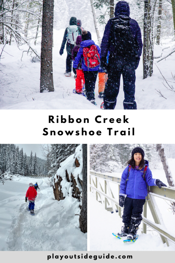 Ribbon-creek-snowshoe-trail-kananaskis-pin