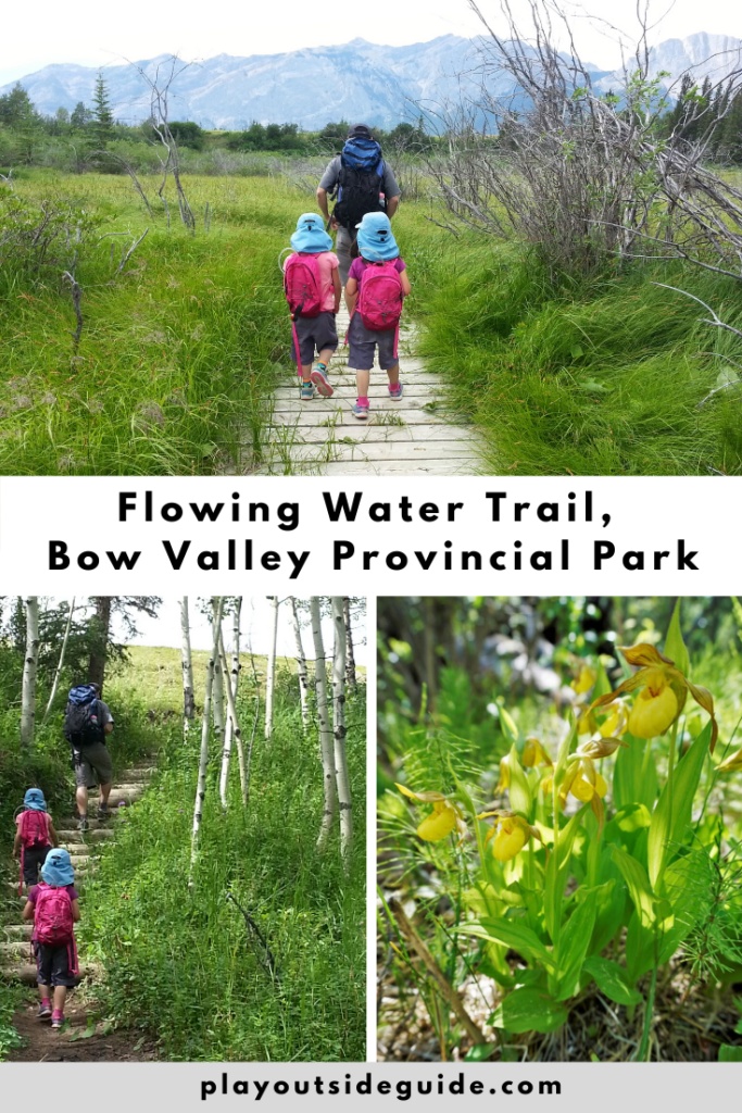 flowing-water-trail-bow-valley-provincial-park