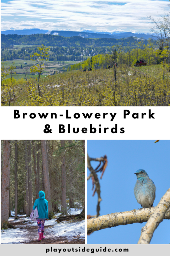 Brown-Lowery Provincial Park and Bluebirds