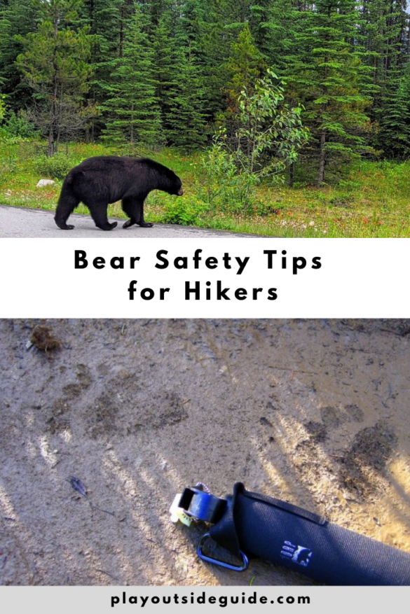 Bear Safety Tips For Hikers And Backpackers Play Outside Guide 6265