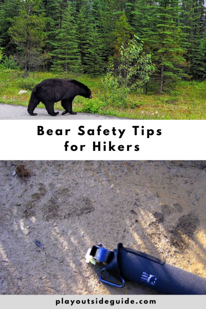 Bear-safety-tips-for-hikers