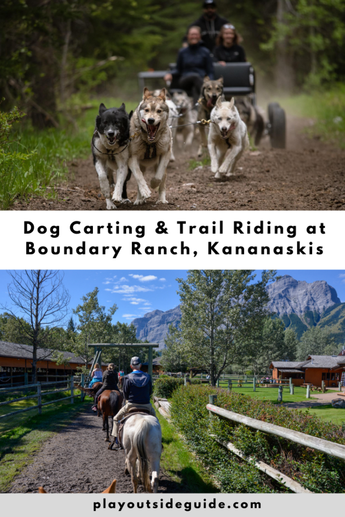 Summer Dog Carting and Trail Riding at Boundary Ranch, Kananaskis