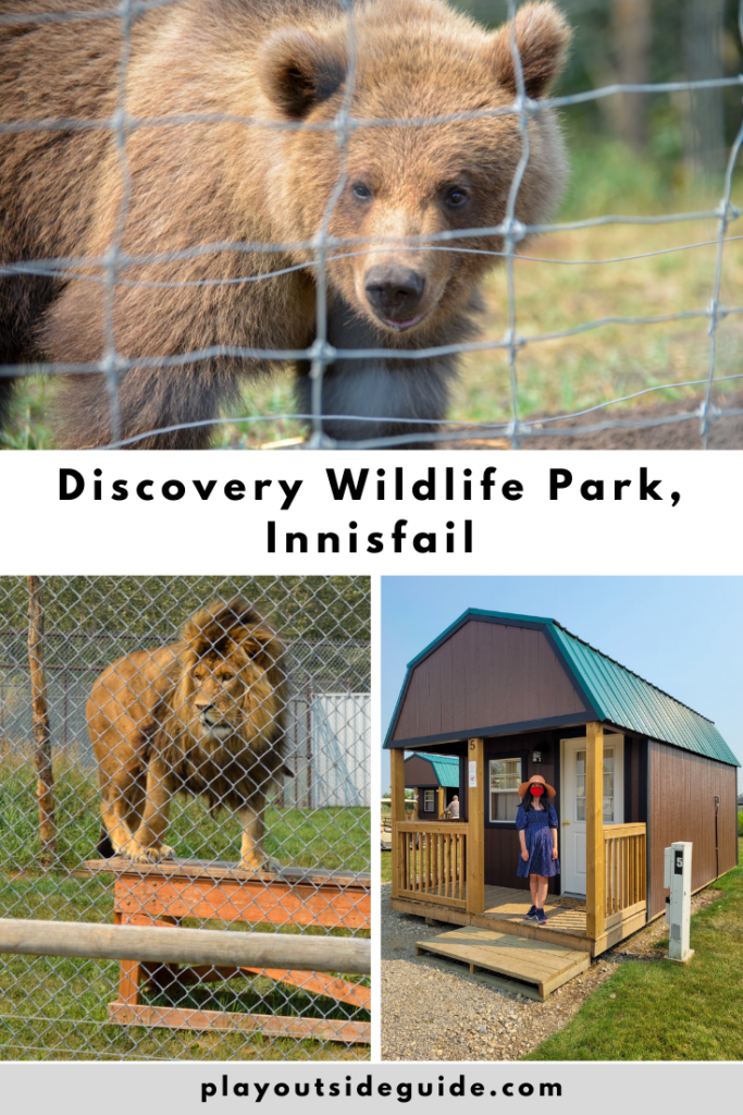 make-memories-at-discovery-wildlife-park-innisfail