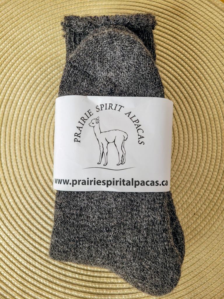 prairie-spirit-alpacas-millarville-13