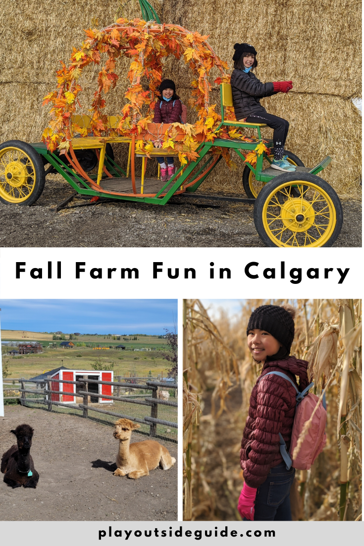 Fall-Farm-Fun-in-Calgary