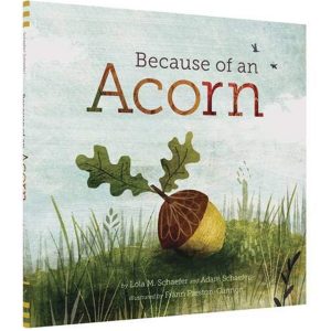 because-of-an-acorn
