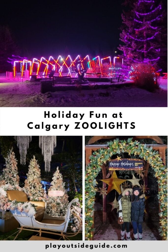 Holiday fun at Calgary ZOOLIGHTS Pinterest pin