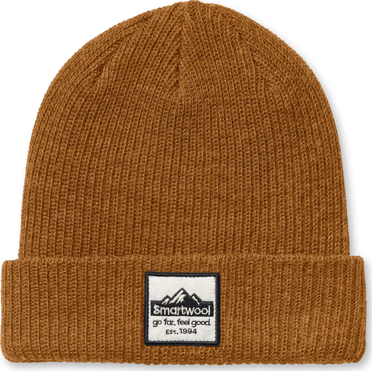 smartwool patch beanie 2