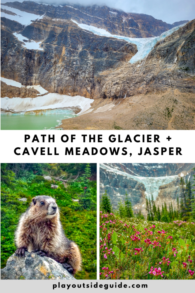 Hiking Path of the Glacier and Cavell Meadows Trail, Jasper National Park pinterest pin
