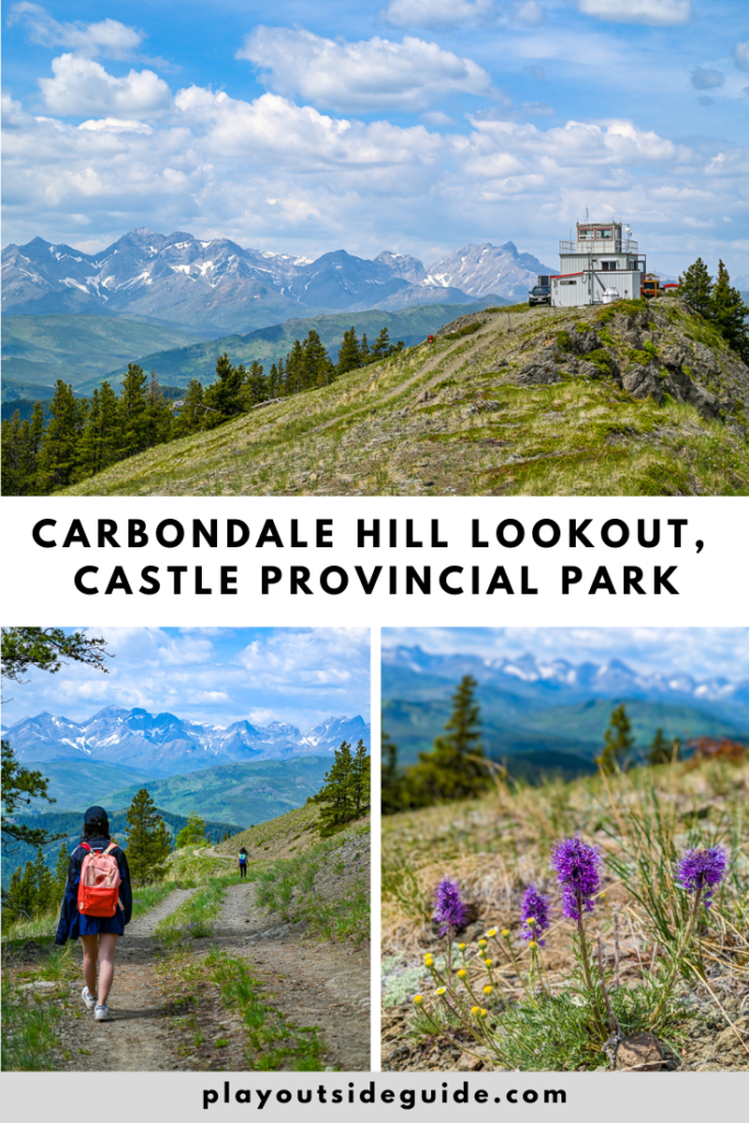 carbondale hill fire lookout castle provincial park pinterest pin (1)