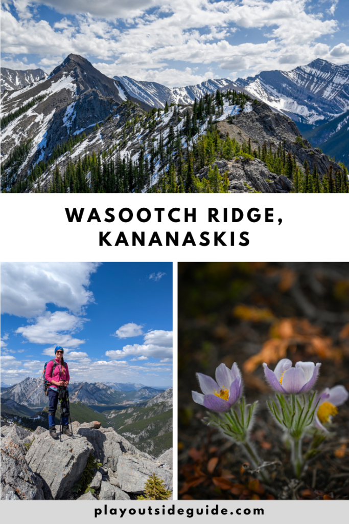 Wasootch Ridge Pinterest Pin